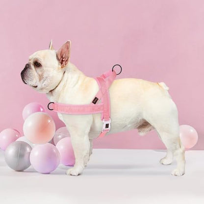 Didog No Pull Dog Harness with Breathable Mesh Padded, Quick Fit & Easy on Dog - Image 2