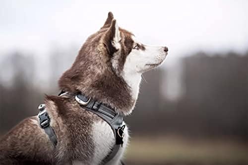 Adjustable No-Pull Dog Harness Reflective Pup Vest Harnesses Comfortable - Image 5