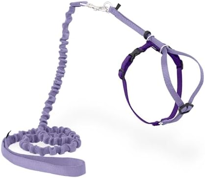 PetSafe Come With Me Kitty Harness and Bungee Cat Leash, LILAC/BRIGHT PURPLE by PetSafe