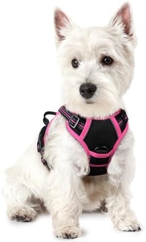 rabbitgoo Dog Harness, No Pull for Small Dogs by rabbitgoo