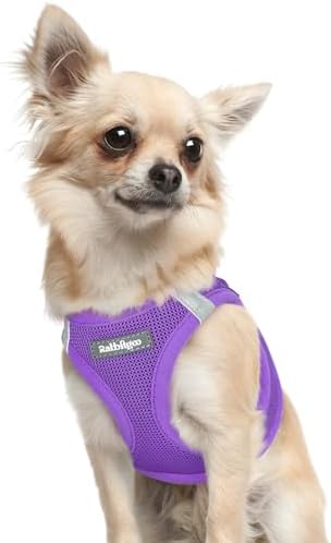 rabbitgoo Step-in Small Dog Harness, Puppy Vest by rabbitgoo
