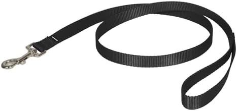 PetSafe Nylon Dog Leash by PetSafe
