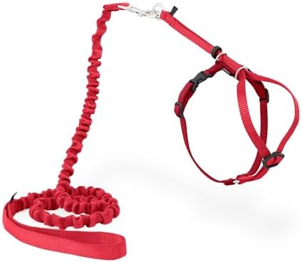 PetSafe Come With Me Kitty Harness and Bungee Leash, Harness by PetSafe