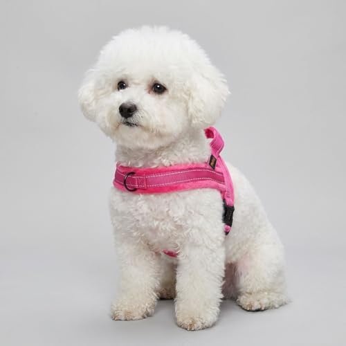 Didog No Pull Dog Harness for Small Dogs, Soft Flannel Padded, Hot Pink - Image 6