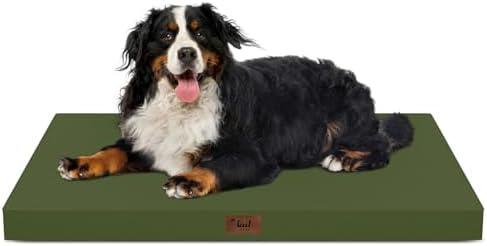 Outdoor Extra Large Dog Bed XXL by TailStories