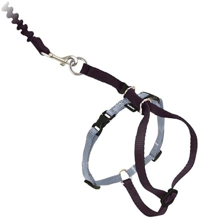 PetSafe Come With Me Kitty Harness and Bungee Leash, Harness by PetSafe