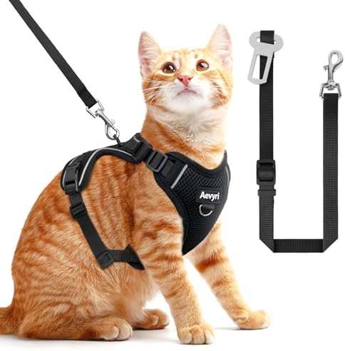 Cat Harness, Cat Harness and Leash by Unknown