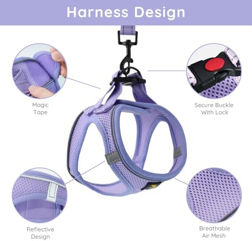 BELLA & PAL Step in Puppy Harness and Leash Set - Image 2