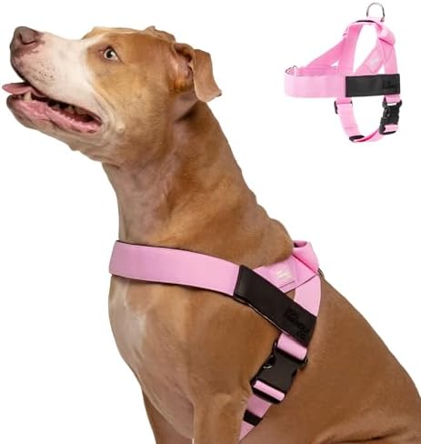 Dog Friendly Co. Dog Harness for Small Dogs by DogFriendly