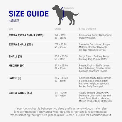Dog Friendly Co. Dog Harness for Medium Sized Dogs - Image 7