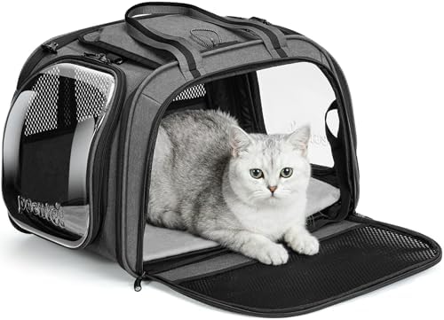 Pecute Cat Carrier, Double Bubble Pet Carrier by pecute