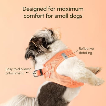 Downtown Pet Supply Pastel Tangerine X-Small Step-In Harness - Image 3