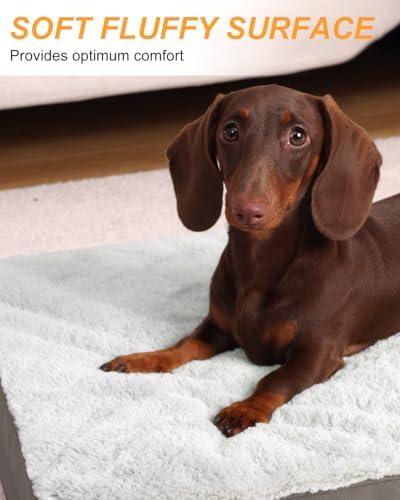 KSIIA Orthopedic Dog Bed for Small Dogs - Image 3
