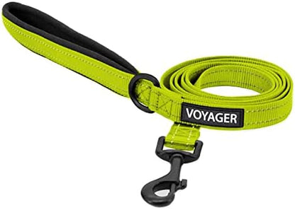 Best Pet Supplies Voyager Nylon Dog Leash by BestPetSuppliesLLC