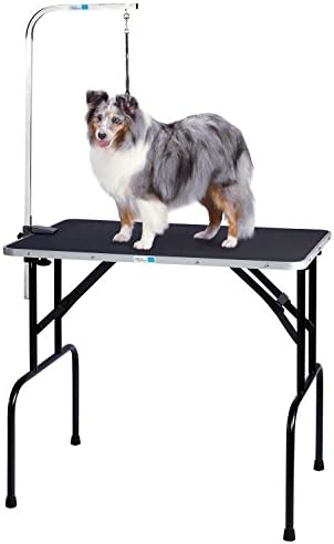 Pet Edge Master Equipment Heavy Duty Grooming Table - Image 4