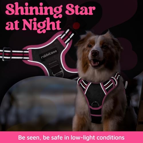 rabbitgoo Dog Harness Medium Sized, No Pull 3 Buckles Easy On & Off - Image 6
