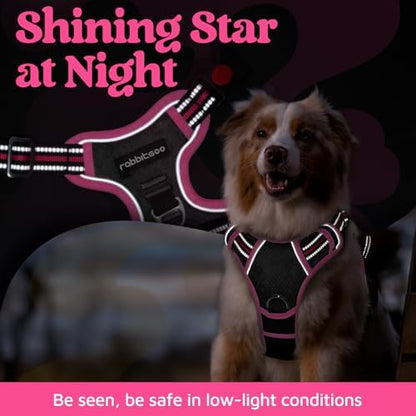 rabbitgoo Dog Harness Medium Sized, No Pull 3 Buckles Easy On & Off - Image 6