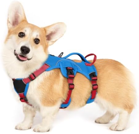 rabbitgoo Escape Proof Dog Harness by rabbitgoo