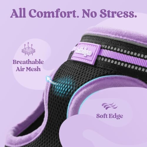 rabbitgoo Cat Harness and Leash Set, Step-in Soft Vest - Image 7
