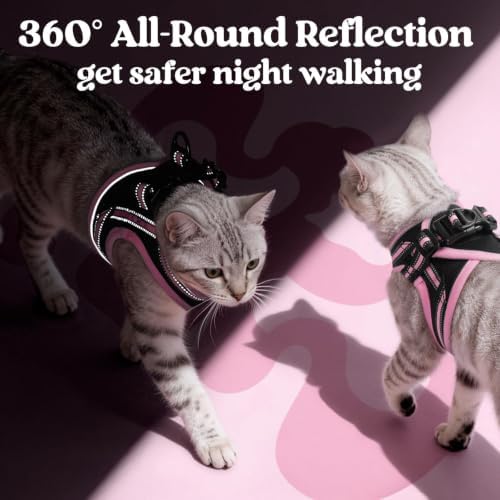 rabbitgoo Cat Harness and Leash Set, Step-in Soft Vest - Image 5