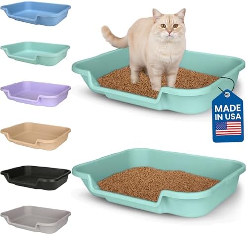 KittyGoHere Senior Cat Litter Box, Large Litter Pan, 2 Pack, Apple Green by NE14pets