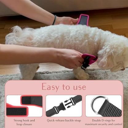 Comfort Fit No Pull Dog Harness – Adjustable Step-in Vest - Image 3
