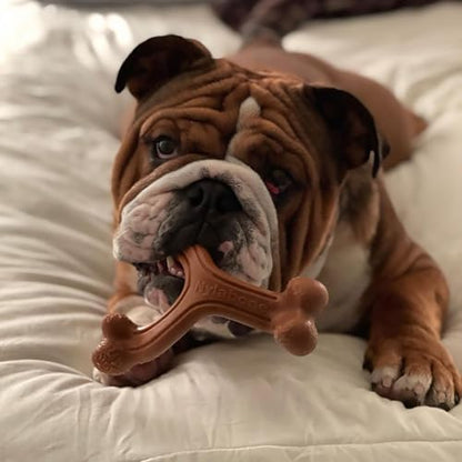 Nylabone Power Chew Easy-Hold Wishbone Dog Chew Toy - Image 2