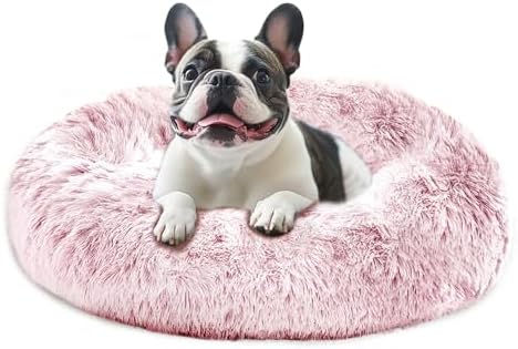 JOLLYVOGUE Calming Dog Bed Medium Size Dog, Anti-Anxiety Donut Medium Pet Bed by JOLLYVOGUE