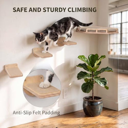 Wall Mounted Cat Shelves Bed Set Wooden Climbing Perch - Image 2