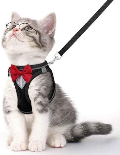 Cat Vest Harness and Leash Set, Escape Proof Kitten Harness Black S by NCMAMA