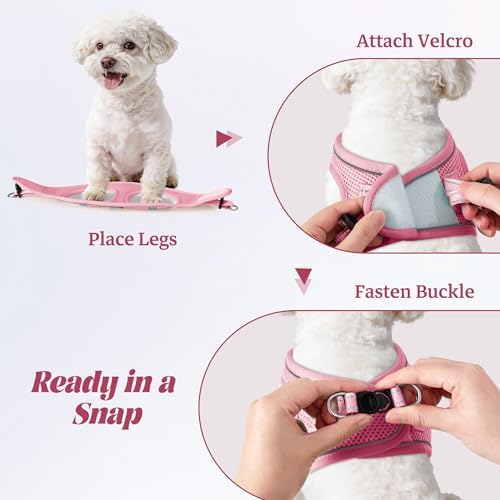 YIMEIS Dog Harness and Leash Set, No Pull Soft Mesh Pet Harness, Reflective - Image 4