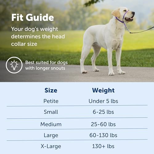 PetSafe Gentle Leader No-Pull Dog Headcollar - Image 5