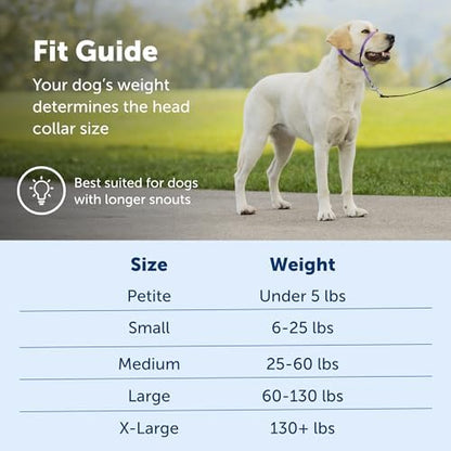 PetSafe Gentle Leader No-Pull Dog Headcollar - Image 5