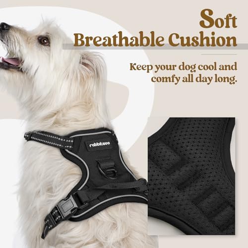 rabbitgoo Dog Harness, No Pull for Small Dogs - Image 2