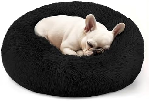 Hoewina Dog & Cat Bed, 20in Cat Beds by Hoewina
