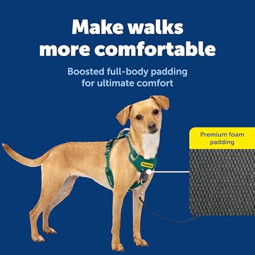 PetSafe Easy Walk Comfort No Pull Dog Harness, Extra Small - Image 3