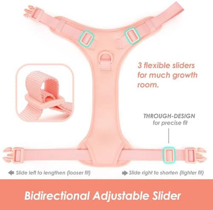 Sunraymascota No Pull Dog Harness - Image 5