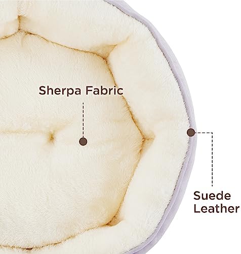 Bedsure Dog Beds for Small Dogs - Image 3