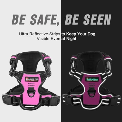 BARKBAY Dog Harness No Pull for Medium Sized Dog Front Back Clips, Dog Vest - Image 5