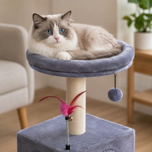YUNIQUE Small Cat Tree for Indoor Cats, Cat Tower - Image 5