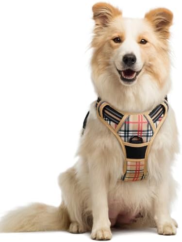 rabbitgoo Dog Harness, No Pull Medium Sized by rabbitgoo