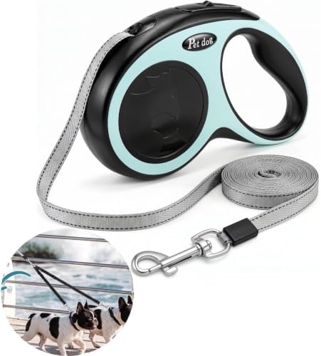 2 in 1 Retractable Dog Leash by Unknown