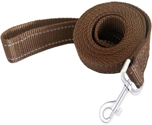 Reflective Dog Leash 4Ft /6 Feet Long, 3/4 Inch Wide, by TAIDA