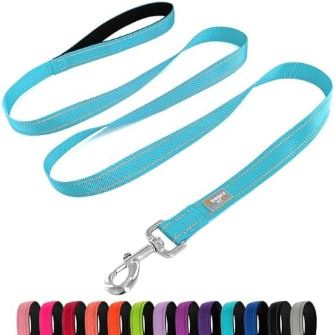 6 FT Basic Dog Leash for Medium Dogs, Sky Blue by Penseepet