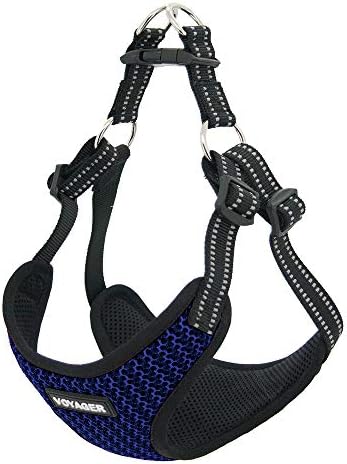 Voyager Step-in Flex Adjustable Dog Harness - Image 3