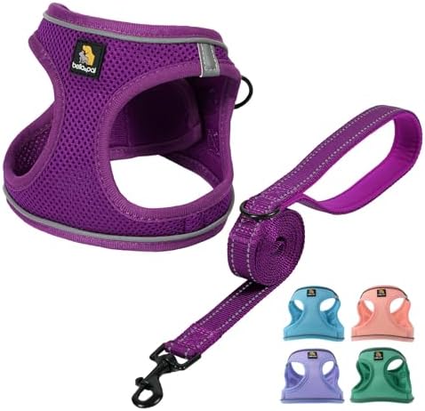 BELLA & PAL Step in Puppy Harness and Leash Set by BELLAPAL