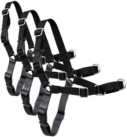 PetSafe Easy Walk Harness, No Pull Dog Harness, Charcoal Gray, Medium/Large by PetSafe