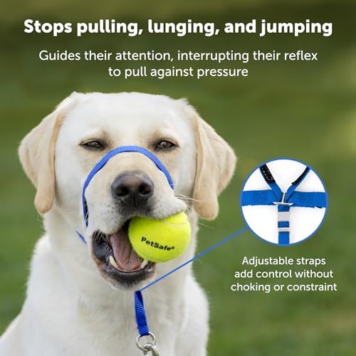 PetSafe Gentle Leader No-Pull Dog Headcollar - Image 3