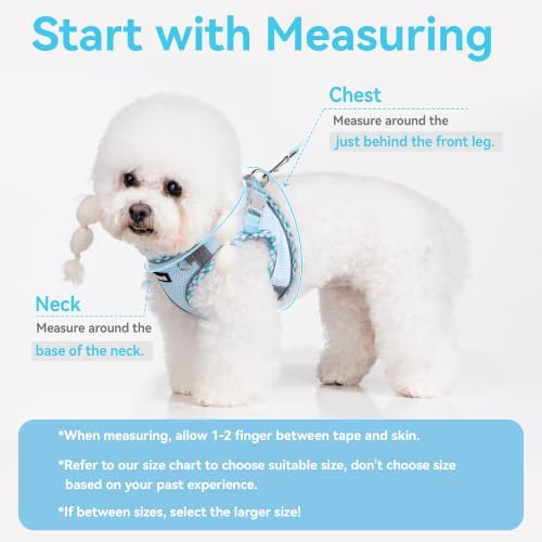 Petank Step in Dog Harness No Pull and Leash - Image 4
