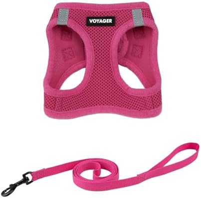 Voyager Step-in Air Cat Harness & Leash Set by BestPetSuppliesLLC